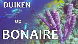 VAKANTIE BONAIRE #3 Duiken met Dive Friends Bonaire @ Yellow Submarine