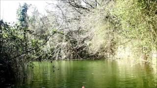 Forte Carpenedo a filo acqua