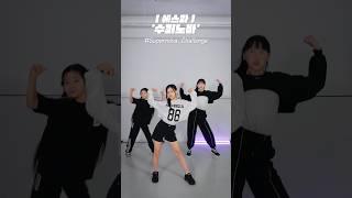 클레버 쇠맛 한 번 볼까? Su Su Su Supernova #supernova #aespa #에스파 #슈퍼노바 #챌린지