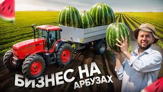 Бизнес на арбузах. Секреты фермера. Как выращивать арбузы