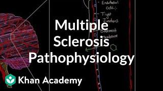 Multiple sclerosis pathophysiology | Nervous system diseases | NCLEX-RN | Khan Academy