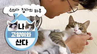 sub) [v-log] 수의사 집사의 하루