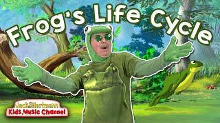 A Frog's Life Cycle | Metamorphosis Song for Kids! | Jack Hartmann