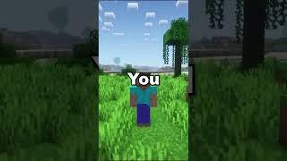 What is the most Popular Mod in Minecraft #shorts