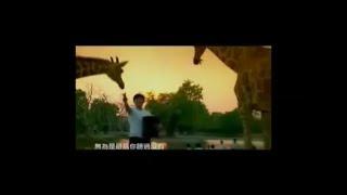 常言道－劉德華