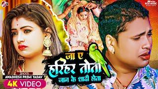 #Video | जा ऐ हरिहर तोता जान के शादी होता | #Awadhesh Premi Yadav | #Bhojpuri बेवफाई वीडियो 2024