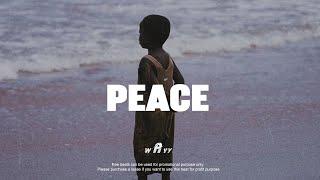 Burna Boy ft Omah lay Type Beat "PEACE" Afrobeat Instrumental 2024 x Emotional Afrobeat Type Beat