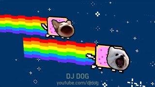 Nyan Cat VS Bork Dog