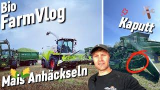 Kurz vor Ende Drescher kaputt- MaisHäckseln - Pronto 6 AS drillt ZF - 6250R Stoppelsturz / Vlog 40