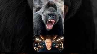 The Insidious Truth of 100 Men vs 1 Gorilla