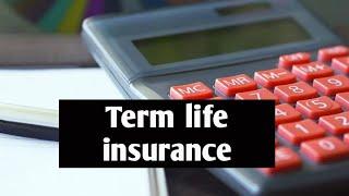 Term-life insurance policy company details | termlife insurance full explanation by moti Maj