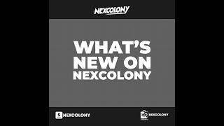 WHAT'S NEW ON NOVEMBER - NEXCOLONY