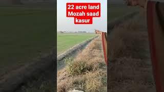 22 acre land for sale in kasur #live #viral #viralyoutubeshorts