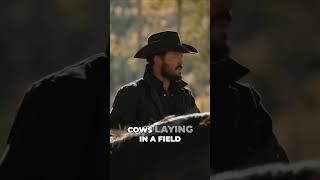 Yellowstone vs PETA: Animal Abuse Allegations #yellowstone #peta #scandals