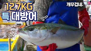 12.7kg 자연산 방어! 솔직히 이 정도 사이즈는 되야 대방어 아닌가요?ㅋ | 가락시장 방어회 |