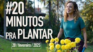 Compre plantas como um paisagista profissional