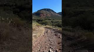 FOR THE BEAUTIFUL-DAY!!! #hikingaddict #coconinonationalforest #belltrail13 #mountains #adventure