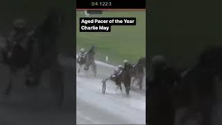 Aged horses of the Year! #horse #harnessracing #shorts #ohio #foryoupage #fypシ #fyp #athlete