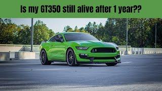 2020 Shelby GT350 1 Year Ownership Review!