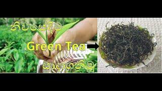 නිවසේදීම Green Tea සාදාගන්නා ආකාරය / How to make homemade green tea