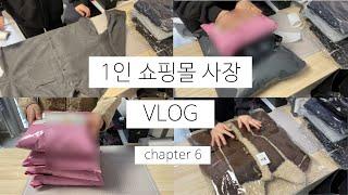 초보 쇼핑몰 사장 브이로그 6탄 / tmi 남발 브이로그 / 주문건 포장 vlog / 에이블리, 지그재그 사장 브이로그