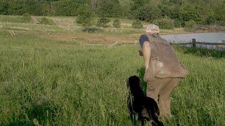 Retriever Training Drills: Lining & Handling