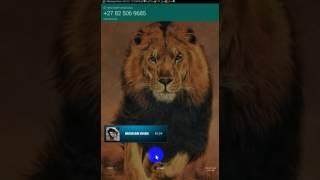 +27825069685 ami k 7 live zana by ZIDDI MALIK Lafangey Parindey