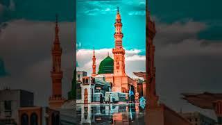 Bokhari Sunni network#islamic#video