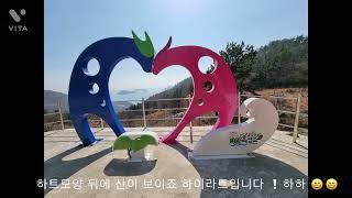 #약산vlog|약산 흑염소 건강식당|약산삼문산진달래공원|구름이머무른자리|약산가사동백숲해변