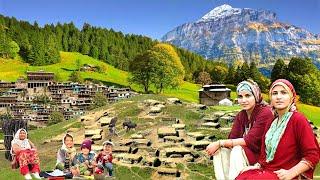 Very Organic Mountain Village Life Pakistan in Caves | Ancient Culture | Stunning Pakistan