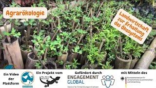 Agrarökologie: Landwirtschaft zur Erhaltung des Ökosystems