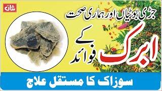 Abrak benefits in Urdu | ابرک | Benefits of Mica | Hakem shan ali | Shan dawakhana