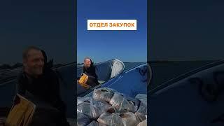 Как найти запчасти в САНКЦИИ