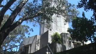 Telegraph Hill San Francisco Luxury Homes & Coit Tower