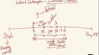 Calender method of contraception: what are Safe and Unsafe period? Natural contraception