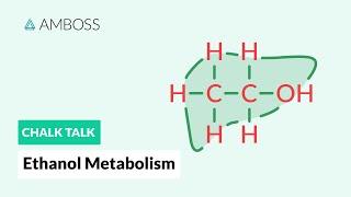 Ethanol Metabolism: Alcohol Breakdown in the Body