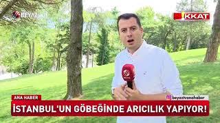 İstanbul'un göbeğinde arıcılık yapıyor!