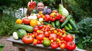 Amazing Summer Garden Harvest, Tomato Yields You Have To See To Believe!