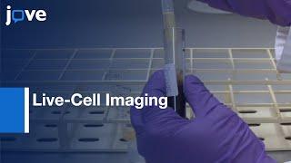 Live-Cell Imaging Of Platelet Degranulation & Secretion Under Flow l Protocol Preview
