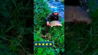 Big Fish in Grass inside river #bigfish #luckyfish #shorts