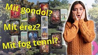 ORAKEL a szerelmi kapcsolatodra Jóslás #ikerláng #tarot #lelkitárs