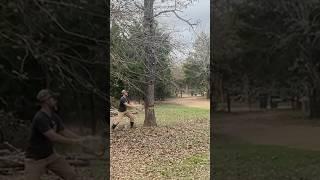 Cutting down an OLD DEAD Tree with Ego 20 inch Chainsaw