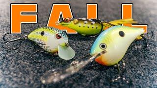 Where Do Bass Go During The Fall Transition? (And How To Catch Them)