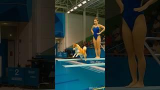 Shocking! Who let the dog dive? (and cats too) #funny #cat #dog #viral #shorts