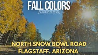 Scenic Drive on Arizona Snow Bowl Road @ 50+! | Explore Flagstaff, Arizona | Relaxing Music