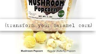 JustPoppin.com {transform your caramel corn} FedEx Small Business Grant