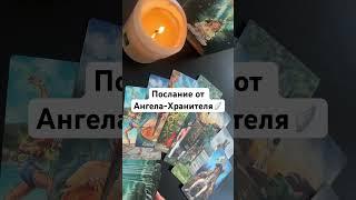 Смотрите полное видео на канале #faaragel  #ангел #архангелы #тарорасклад  #таро