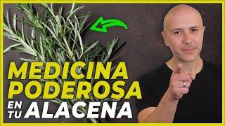 EL ROMERO: ¡MÁS QUE UNA SIMPLE HIERBA! ANTIOXIDANTE, ANTIINFLAMATORIO Y BUENO PARA EL PELO