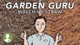 Which Mulch is the Best for Your Landscape? | Dig In