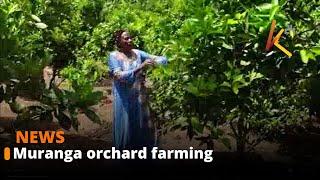 Farmer in Murang’a proving that farming can be productive even in arid and semi-arid areas